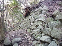 宇佐山城.jpg